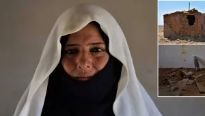 Hayvanlarımızı bile bombaladılar