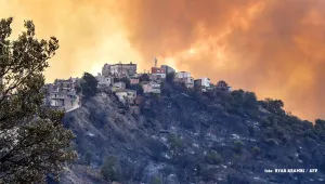 Cezayir ve Tunus'ta orman yangınları