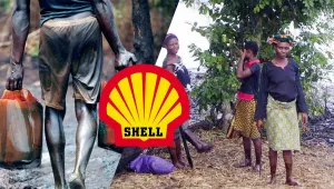 Shell, tazminat değil hesap vermeli