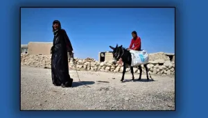 Kizwanan Dağları’nın çınarı
