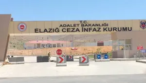 Kürtçe şarkı ve halaya soruşturma Meclis’e taşındı