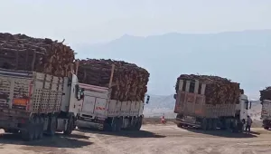 Namaz’da kıyım sürüyor