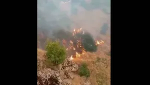 Yaktılar, müdahale etmiyorlar