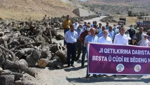 Ağaç kıyımı protesto edildi