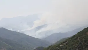 Bir Savaş Politikası: Orman Yangınları