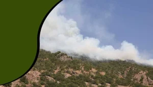 Kürdistan yana yana!..