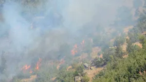 Şırnak’ta dört ayda 21 orman yangını