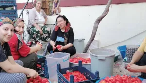 İmece usulü kış hazırlığı 