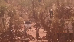 ‘Ağaç bırakmayın’ talimatı