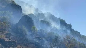 Şemdinli’deki yangın yayılıyor