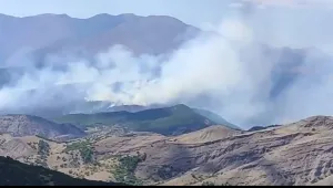 Dersim yanıyor Xızır nerde?