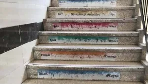 ‘Ya Türkçe konuş ya da sus’