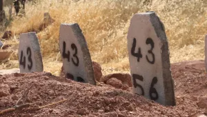 Zırhlı araçlarla getirip toplu halde gömüyorlar
