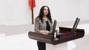 Cinsiyet eşitliğini yansıtacak birimler kurulsun