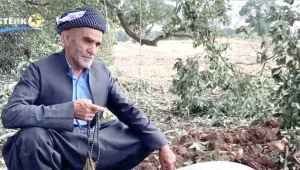 Bir fotoğraf, bir tarih ve toplumsal gerçeklik