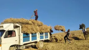 Hakkari’de kış hazırlığı