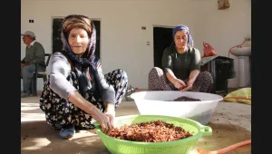 Pestiller yapıldı, turşular kuruldu