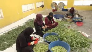 Ekonomik projeler kadınlara güç veriyor