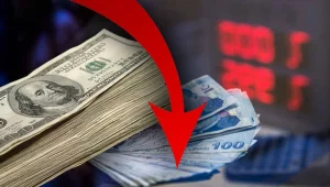 Türk Lirası rekor kırdı