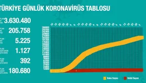 Korona 7 kentte artıyor