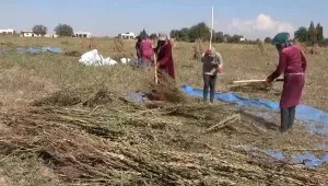 Kadınlar el yordamıyla tarım yapıyor