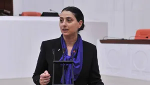 Efrîn’de kadına yönelik suçlar meclise taşındı