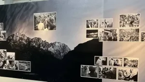  Kırık Omurga Sergisi: Hatırlıyor musun?