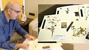 8 bin bitki ile Kürdistan'ın biyolojik hafızası