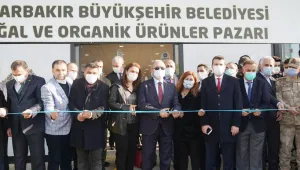 Kayyumun organik pazar fiyaskosu