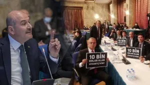 Soysuzluk yüzde 300 arttı