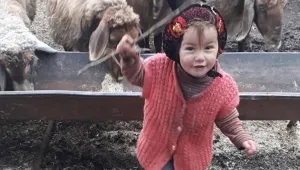 'Kutsal aile' öldürüyor! 