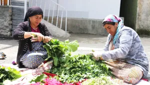 Devlet dağlardaki otları da yasakladı