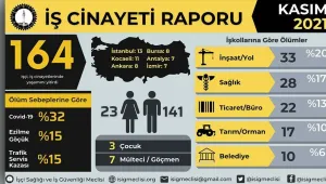 11 ayda 2 bin 17 işçi cinayeti