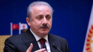 Tecavüzü değil, önergeyi kaba buldu