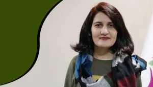 Türk entrikacılığı, Kürtlerin isyanı ve...