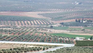 Halkımıza sözümüzdür, Efrîn'i özgürleştireceğiz