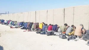 Dil kesmek, baş kesmek…