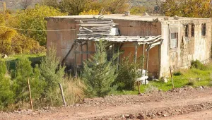 PKK’nin kurulduğu köyde ağaç dikmek suç