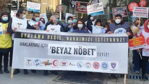 Cep delik cepken delik; kevgir oldun kardeşlik
