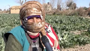 Dêrazorlu kadın çiftçilerin başarı hikayesi