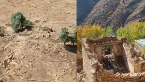 Yakılan Koye Ser'in hikayesi