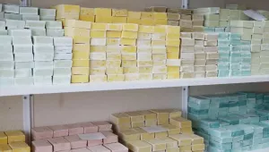 Van Gölü sabunları