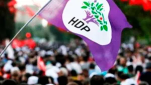 Devletin gücü sonsuz değildir