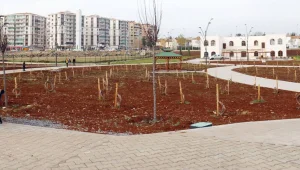 Bağ evinde yolsuzluk