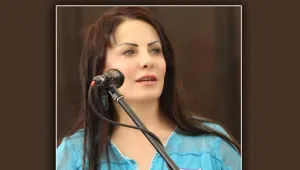 KDP, Türkiye temsilciliği gibi