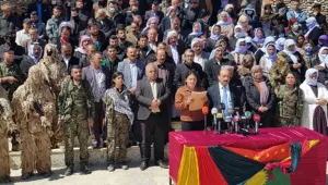 Yerel, bölgesel sorunlar ve Demokratik Ulus Çözümü
