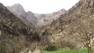Kûtoslular mezradan çıkarıldı