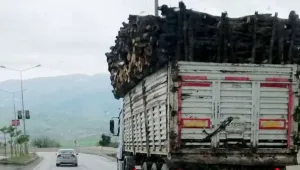 Korucuları Besta arazisine saldı