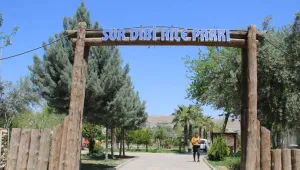 Kadınlara park da çok görüldü 