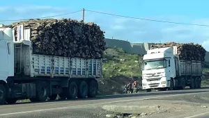 Hançer Timi eliyle Besta talan ediliyor